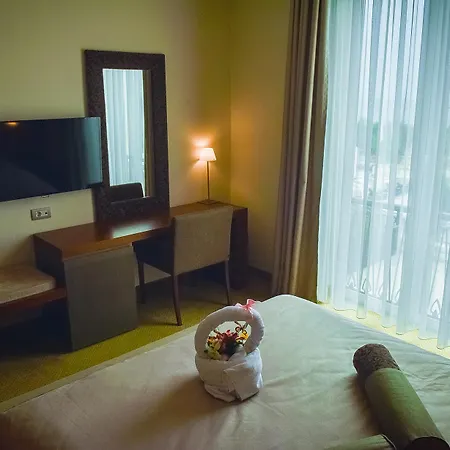 فندق إياكي كونفيرانس&سبا 4*